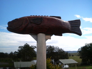 & the big Australian Bass