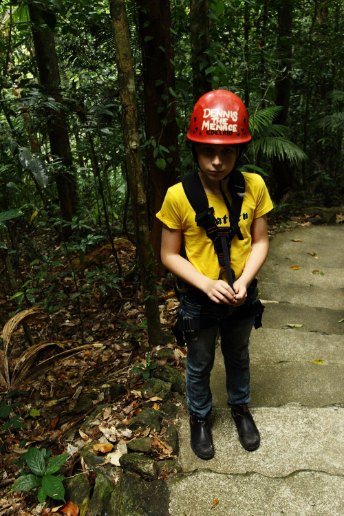 A must do, Jungle Surfing in the tropical canopy of the Daintree forest