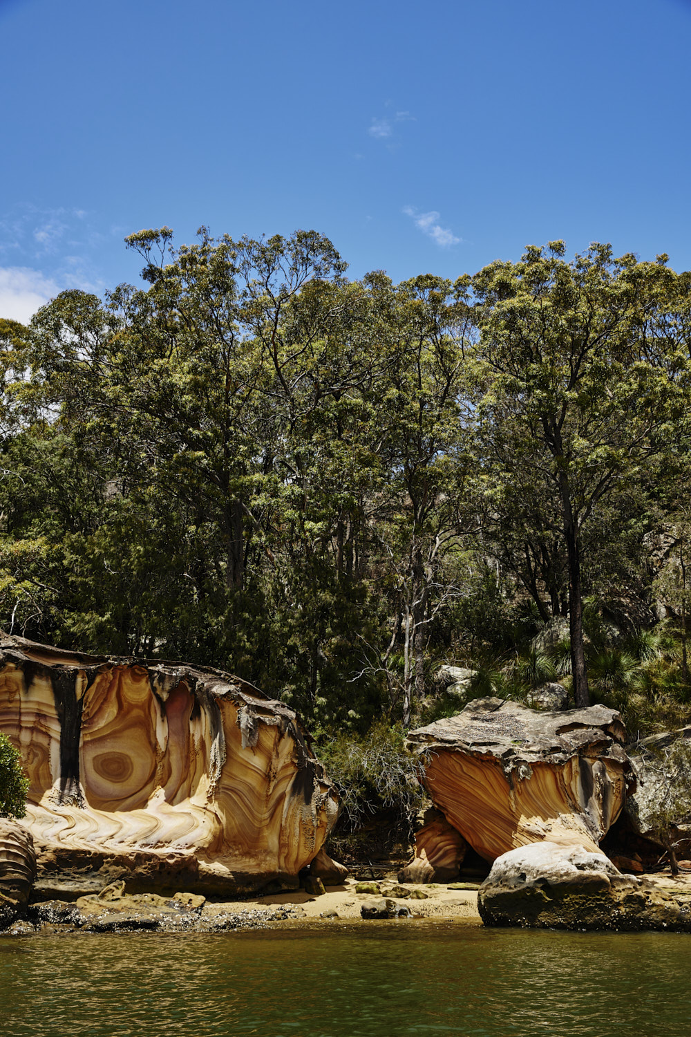 Hawkesbury River Boat Trip