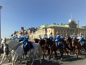 Swedish Royal guards