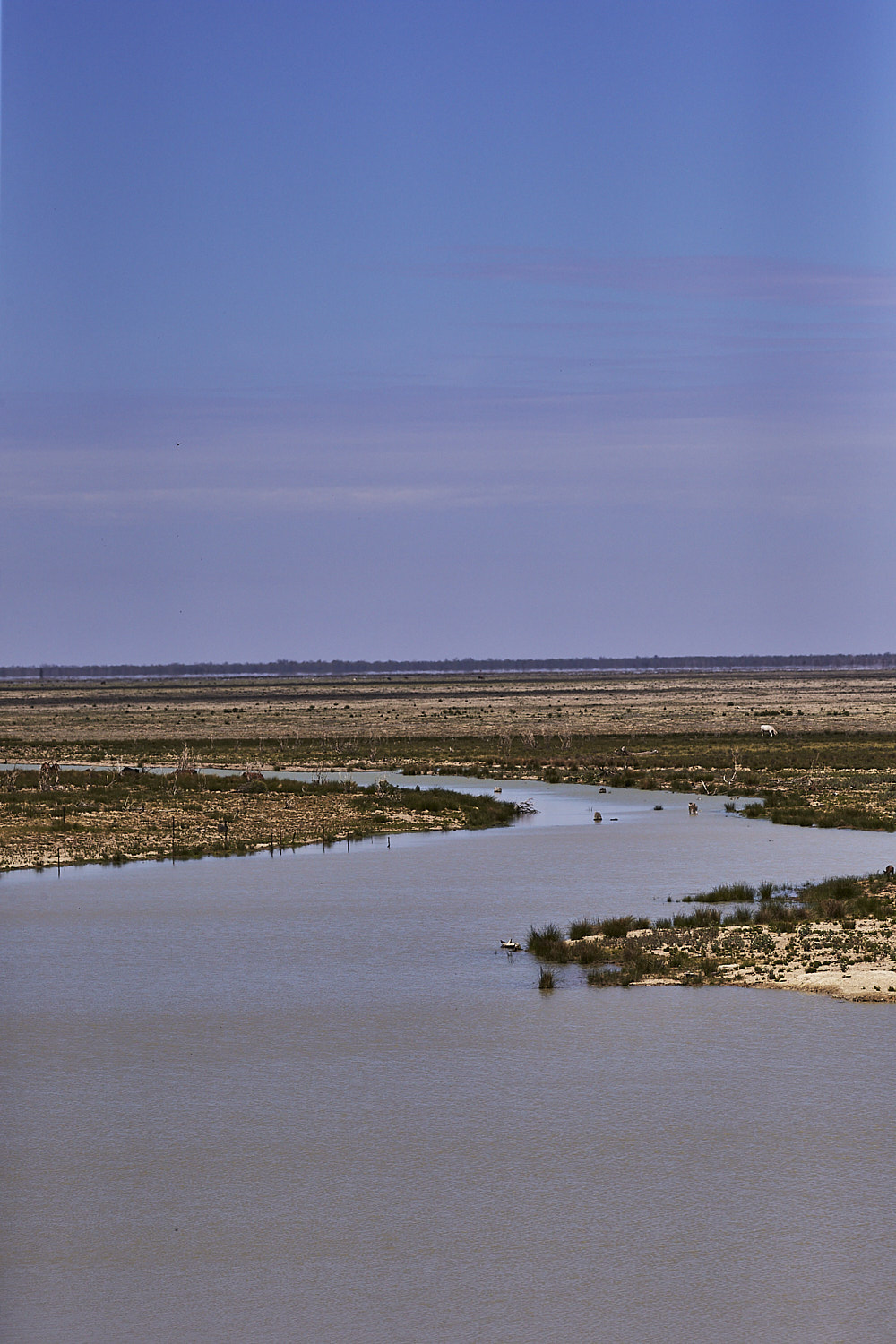 Where the Darling River, meets Menindee Lake